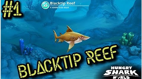 Hungry Shark World || Blacktip Reef Shark gameplay || walkthrough part 1