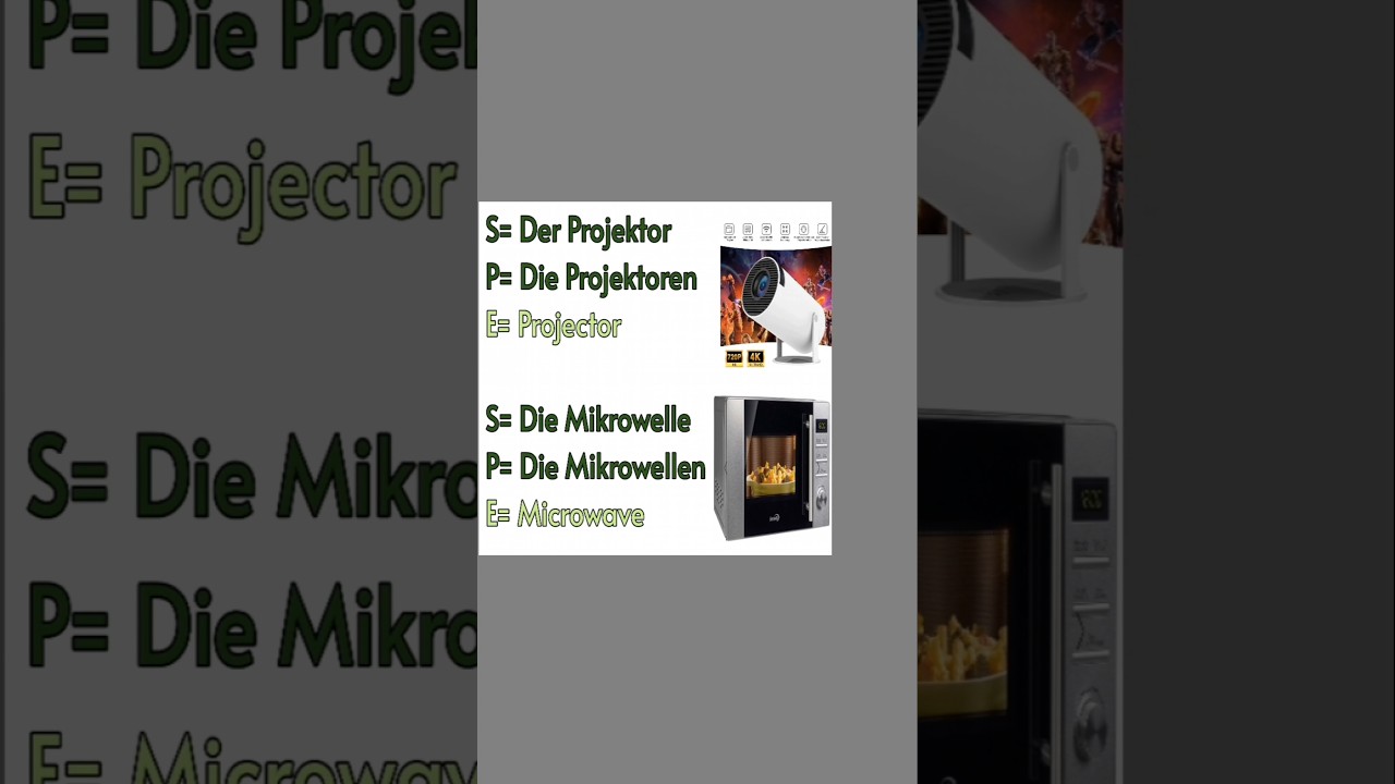 German Vocabulary with Pictures 