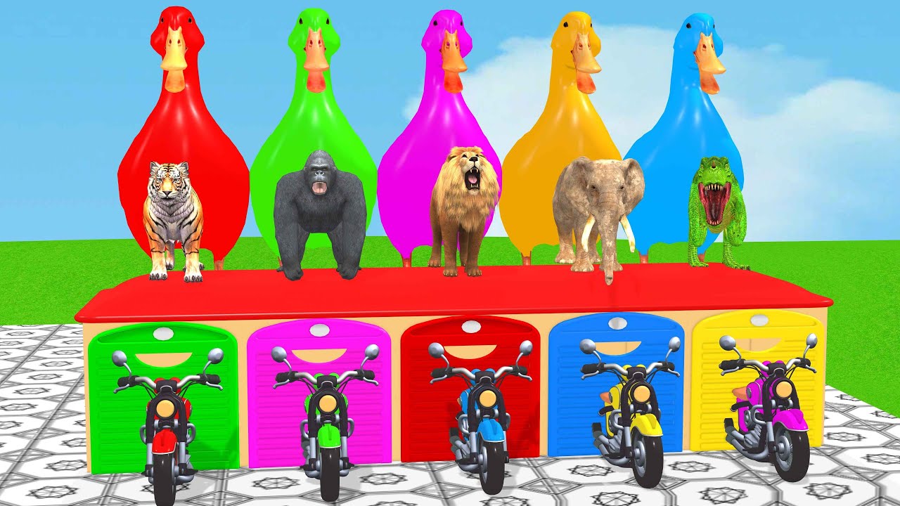 Long Slide Game With Cow Elephant Gorilla Hippopotamus Tiger 3d Animal Game Funny 3d Animals