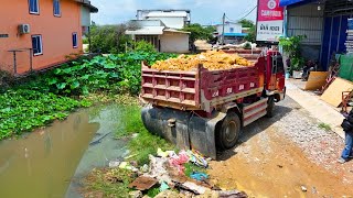 Incredible Landfill Build School Project truck Transport Soil With Bulldozer Push To Water