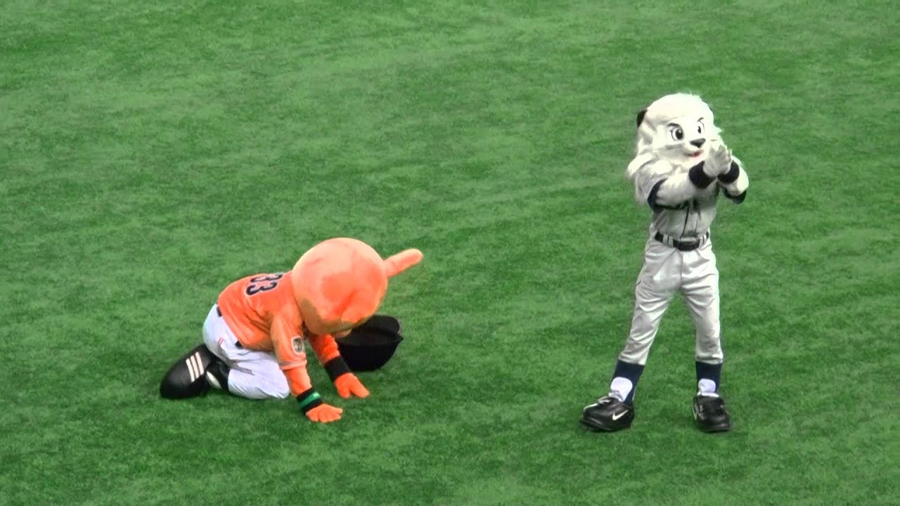 ジャビット、レオとライオンズファンに土下座【2014/06/07・東京ドーム】