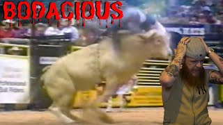 BODACIOUS - The Most Dangerous Bull Ever || BULL RIDING REACTION