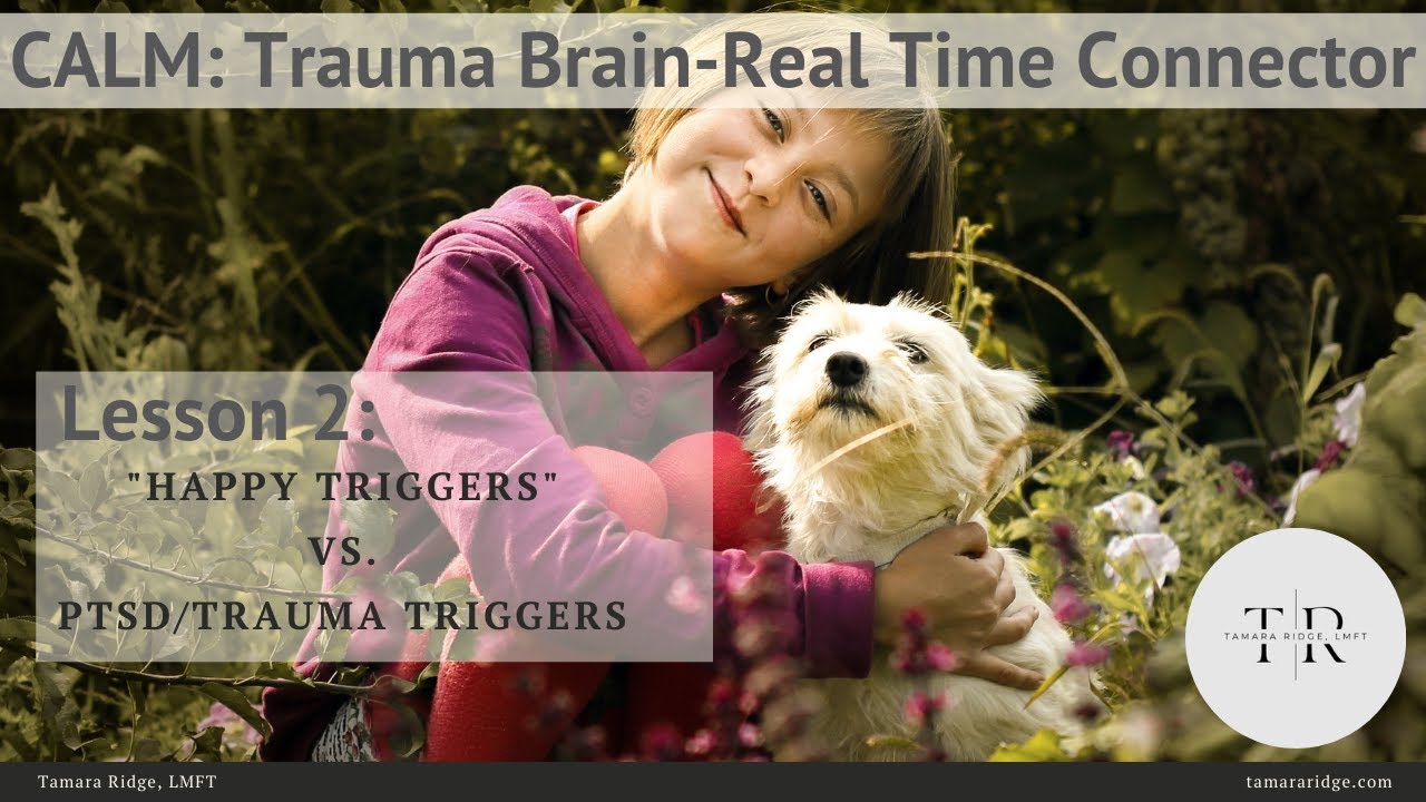 Heal Your Trauma: Lesson 2: "Happy Triggers" vs. PTSD Triggers - YouTube