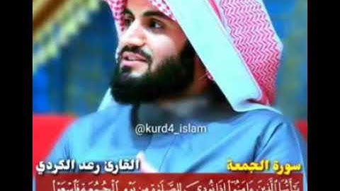 سورة الجمعة-رعد الكردي-حالات واتس اب قرءانية🌹🌹