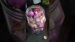 How to Pickle Eggplant Deliciously and Crispyly in Just 5 Days How to Pickle Eggplant Deliciously and Crispyly in Just 5 Days