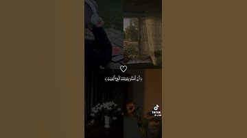 #قرآن #اكسبلور #المصحف #لايك #الرحمن #راحة_نفسية #تلاوة_خاشعة #ترند