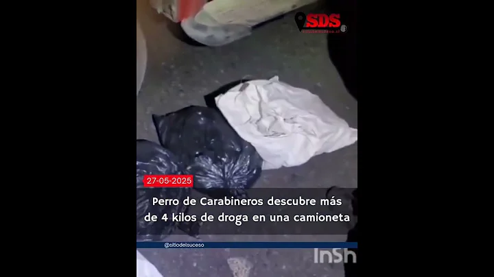 Perro de Carabineros descubre más de 4 kilos de droga en camioneta