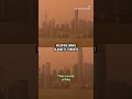 Wildfire smoke blankets Toronto