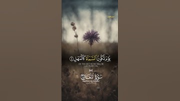 فاصبر صبرا جميلا. سورة المعراج تلاوة خاشعة بصوت القارئ أحمد العجمي #المصحف #quran #تلاوة_خاشعة