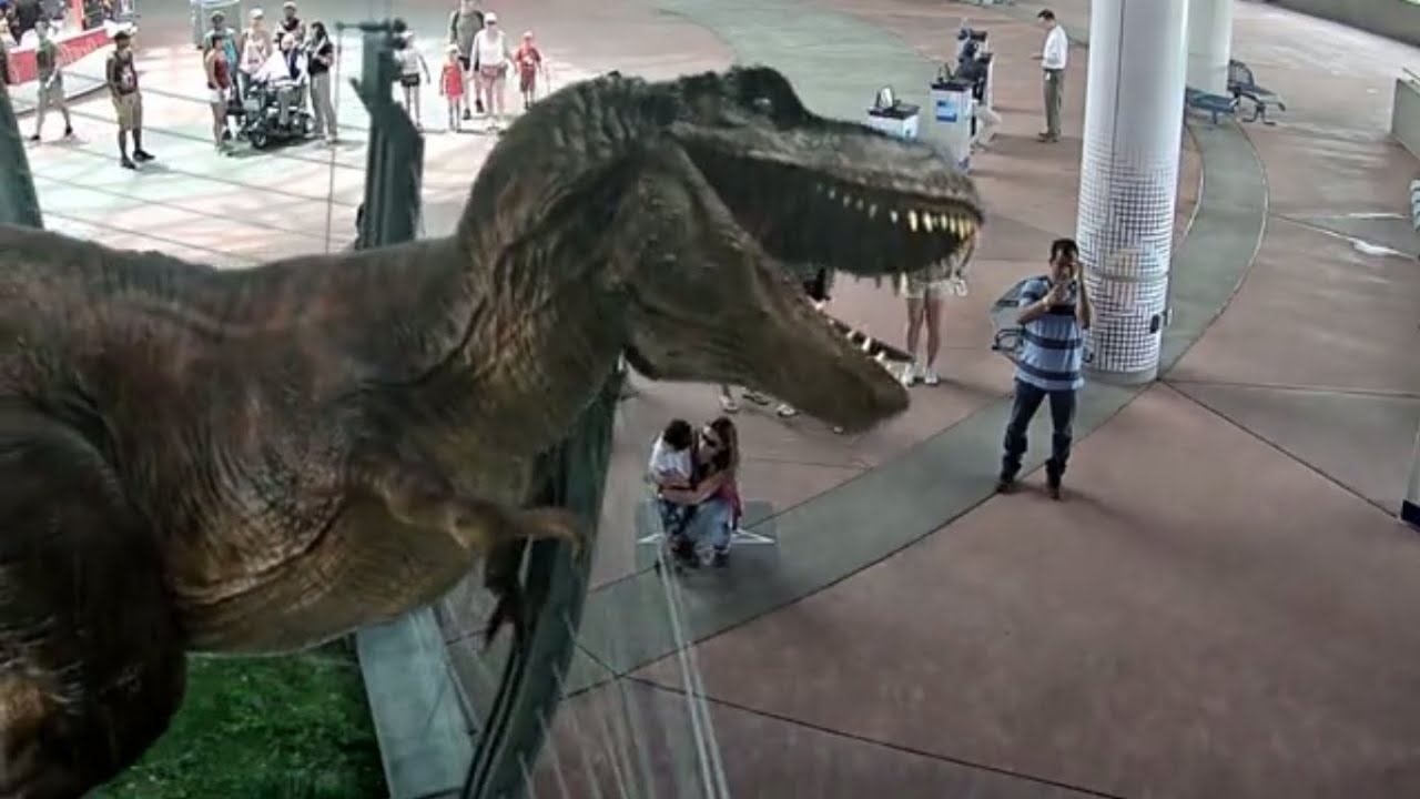 T-Rex Baby with Augmented Reality