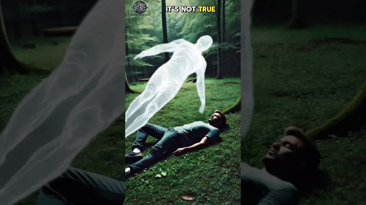 True Life After death explained 