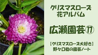 花アルバム 広瀬園芸⑰ - YouTube