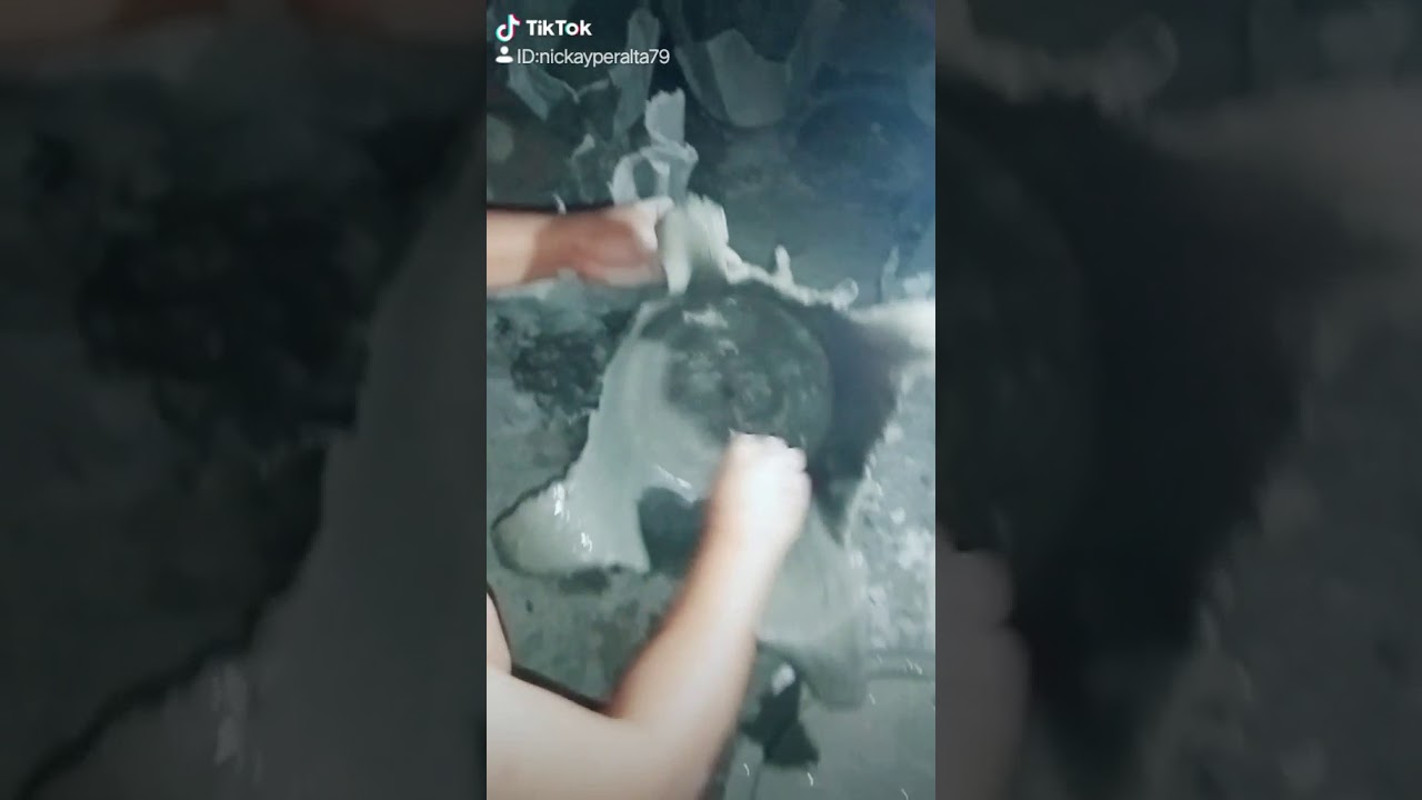 Tiktok Flower Vase (Memories bring back Memories YouTube