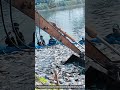 How River Harvest Machine Transfers Massive Fish Into Market Crates