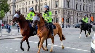 Metropolitan Police Mounted Branch. Mounted Patrols. British Horse Police 
