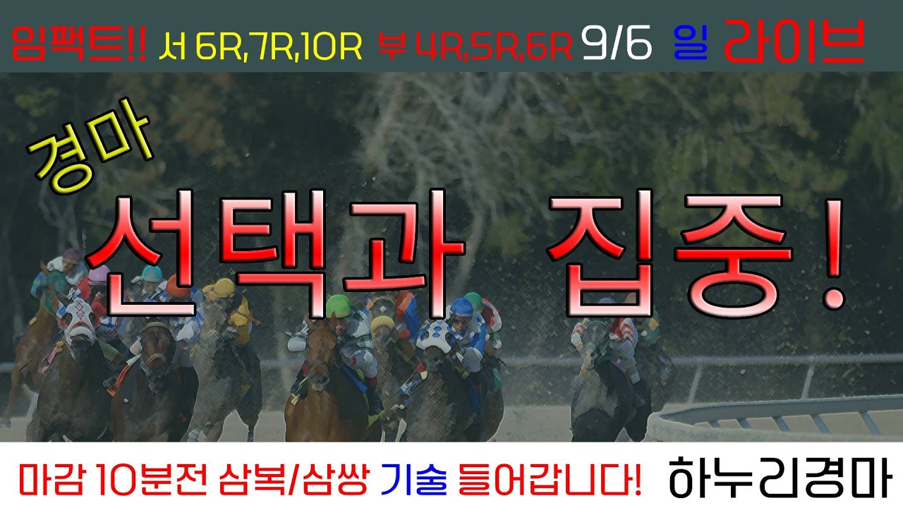 9/6(일) 72배 승부적중! 경마 선택과 집중! 이기는 경마! 관건은 임팩트!! 경주별 삼복/삼쌍 기술 들어갑니다!!