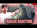GODZILLA MINUS ZERO, You Can See Everything, Werwulf & The Man With The Bag | Trailer Reaction
