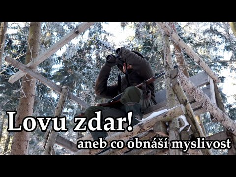 Video: Predátor: Recenze Loveckých Areálů - Naff Plýtvání Skvělým Materiálem