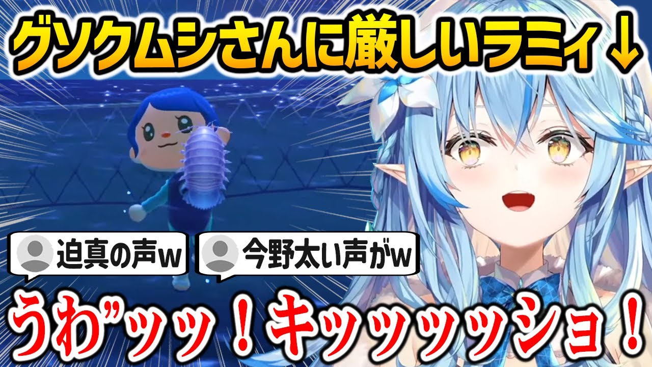 ダイオウグゾクムシさんに厳しい雪花ラミィ【どうぶつの森 ホロライブ】