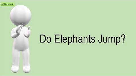 Do Elephants Jump?