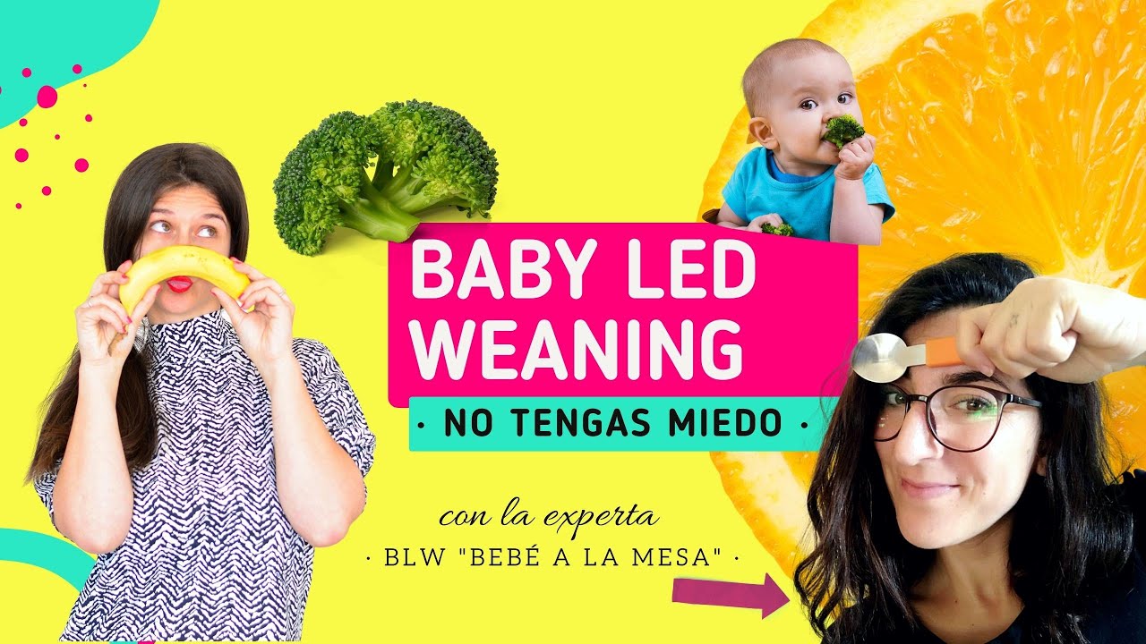 Baby led weaning que es