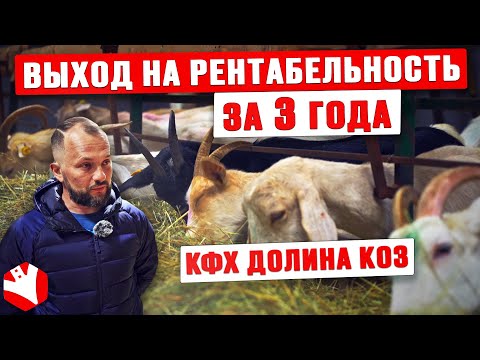 КФХ «Долина Коз» | Выход на рентабельность за 3 года | Козоводство и сыроварение