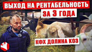 КФХ «Долина Коз» | Выход на рентабельность за 3 года | Козоводство и сыроварение