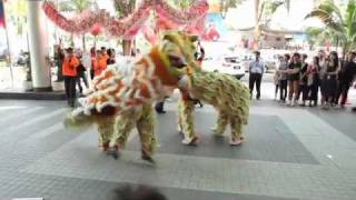 The Tiger Chinese New Year Shuffle