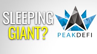 PEAKDEFI Review: The Next Big Crypto Project?