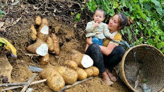 Duong and Be harvest wild tubers, bring them to the market to sell - Fertilize the onion garden