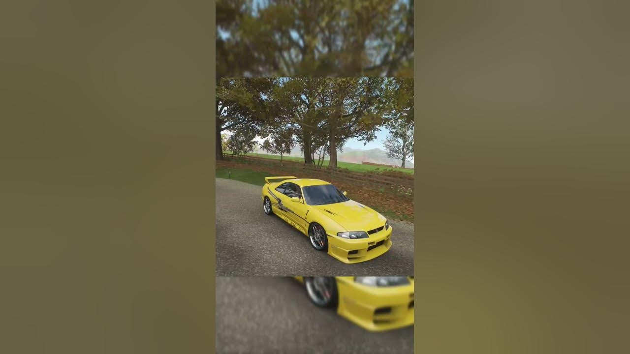 Nissan Skyline r33 Леона