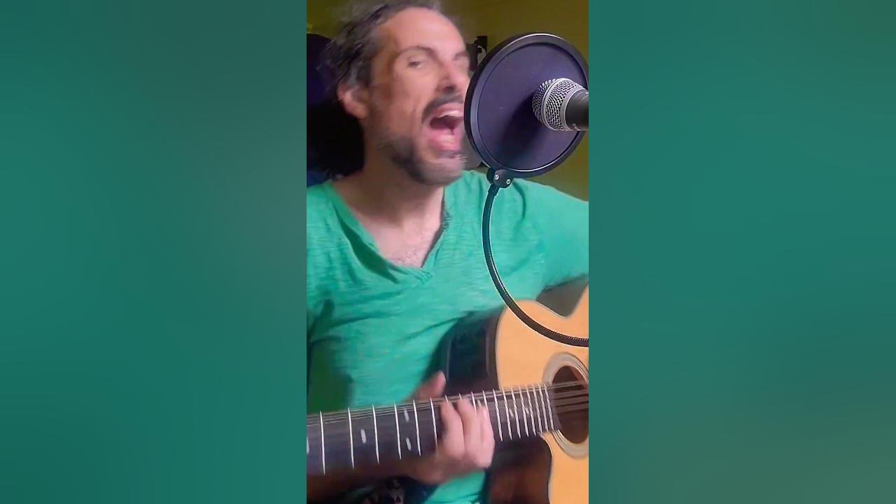 All Apologies #nirvana #songcovers #covers #acousticcover #coversongs #live #cover #musician #90s All Apologies #nirvana #songcovers #covers #acousticcover #coversongs #live #cover #musician #90s