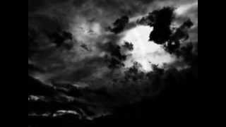 ::: PIONERO ROCK ::: SE TE OLVIDO