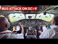 Africa Flying Adventure: Rare Bug Attack on 1970s Built DC-9