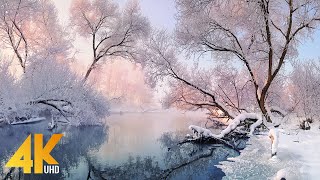 1 HOUR Beautiful Winter Scenery - 4K Wintertime Relaxation Film - Part 1 - Short Version + Music