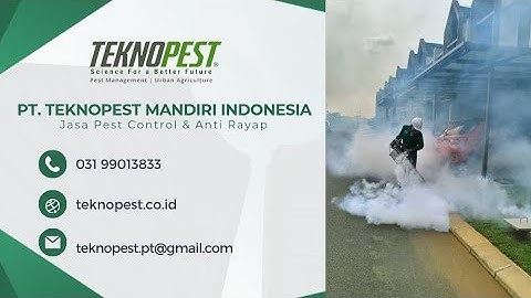 Jasa Fogging Pest Control Surabaya