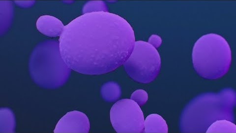 CDC warns of deadly fungus spreading at alarming rate