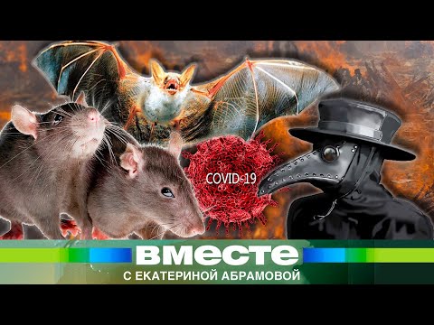 Вирус на крыльях летучей мыши. Какие опасные инфекции принесут нам животные?