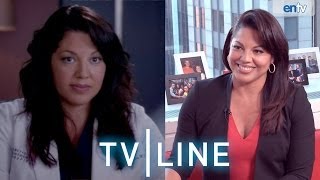 'Grey's Anatomy' Star Sara Ramirez on Callie/Arizona, Malpractice...Possible Exit??  Spoiler Alert!