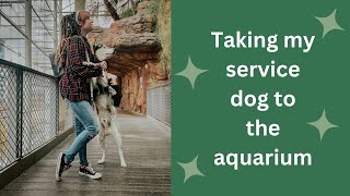 Taking my service dog to the aquarium!