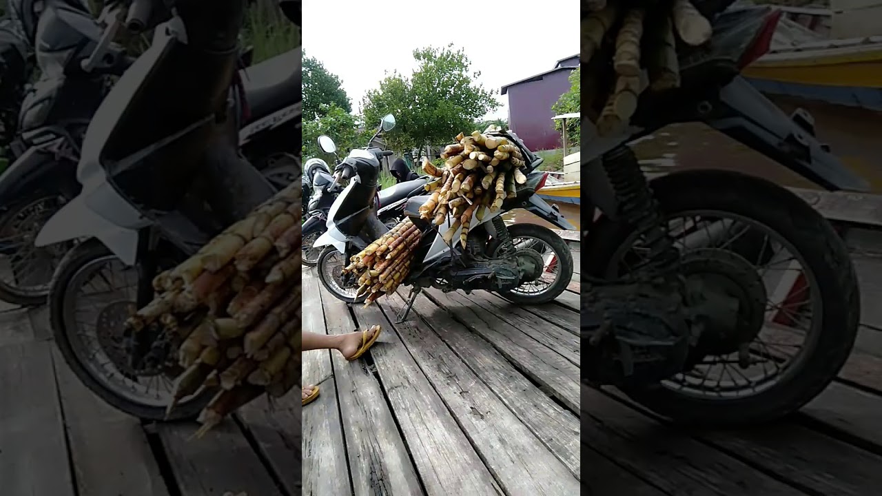 Penyebrangan sui jelawat pontianak 