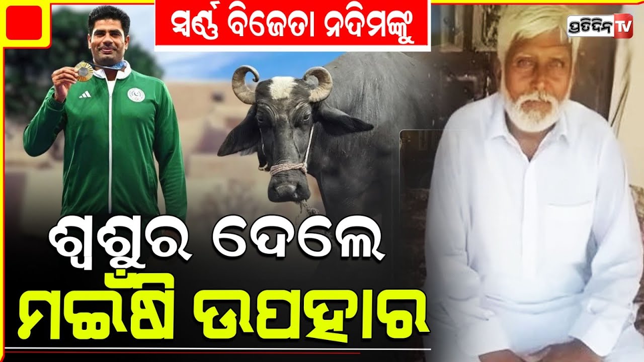 ଜୋଇଁ ଜିତିଲେ ସ୍ଵର୍ଣ୍ଣ ପଦକ, ଶ୍ଵଶୁର ଦେଲେ ମଇଁଷି! Pakistan's Nadeem get buffalo as gift from father inlaw