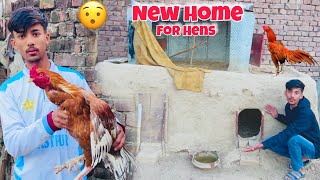 New Morga Pasand A Gaya New Home For Hen Abdullah Jutt