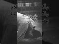 وألقي علينا السلام والراحة فأننا لسنا بخير يالله