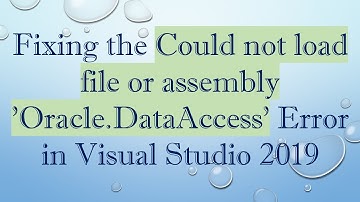 Fixing the Could not load file or assembly 