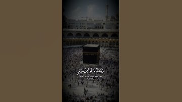 الحج أشهر معلومات فمن فرض فيهن الحج فلا رفث و لا فسوق و لا جدال في الحج || القارئ: فارس عباد
