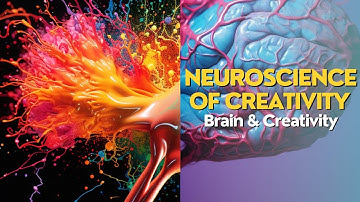 Unlocking the Secrets of the Brain: How Neuroscience Powers Creativity | EduMind Deep Dive