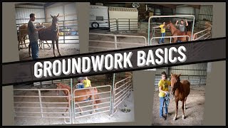 FIRST TIME Learning Groundwork Basics - Nuggets Training Day 1 Part 2