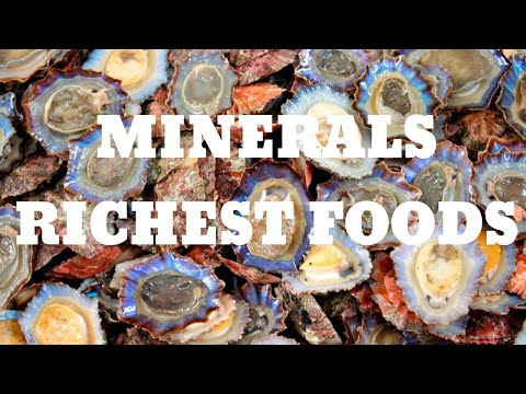 FOODS RICH IN MINERALS