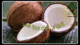 زيت جوزة الهند // معلقه هتغير حياتك.... ازاي تعرف النوع الأمن الصحى من الضار الي هيقضى علي حياتك ؟؟